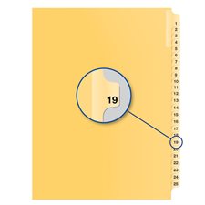 Individual Numerical Litigation Index Dividers