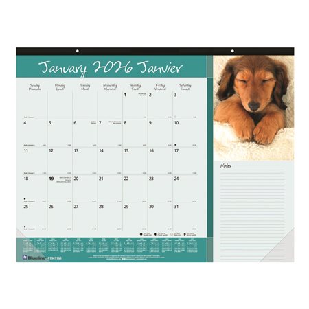 Man's Best Friends Monthly Desk Pad Calendar (2026)