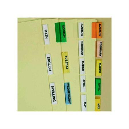 Index Dividers (8) Assorted Colour Tabs