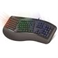 Color Illuminated Ergonomic Keyboard